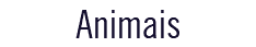 Animais 